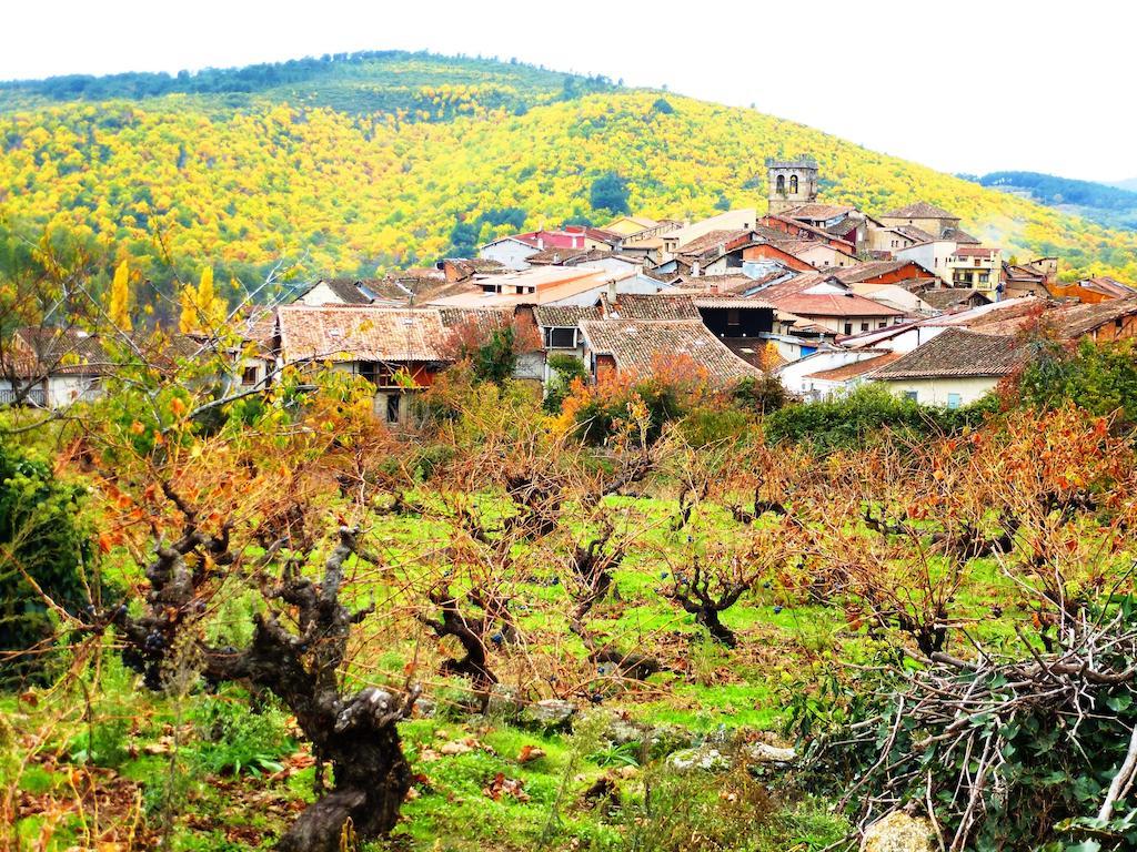 Jardines Del Robledo-Albar Guest House San Miguel del Robledo Екстериор снимка